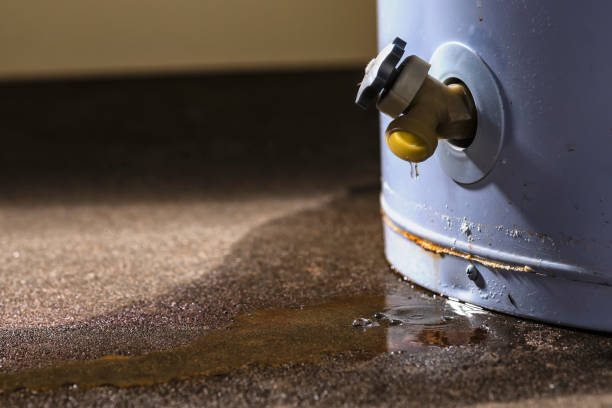 Best Flood damage cleanup  in Six Mile Run, NJ