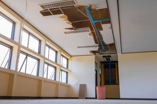 Best Water damage contractors near me  in Six Mile Run, NJ