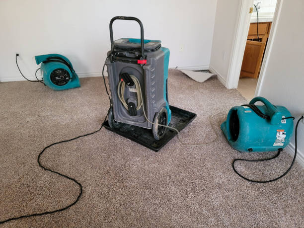 Best Flood restoration services  in Six Mile Run, NJ