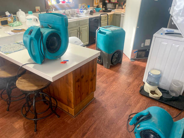 Best Mold removal after water damage  in Six Mile Run, NJ