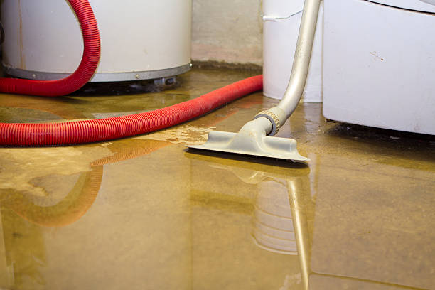 Best 24-hour water damage restoration  in Six Mile Run, NJ