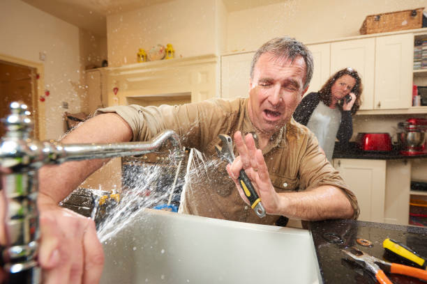 Best Local water damage restoration  in Six Mile Run, NJ